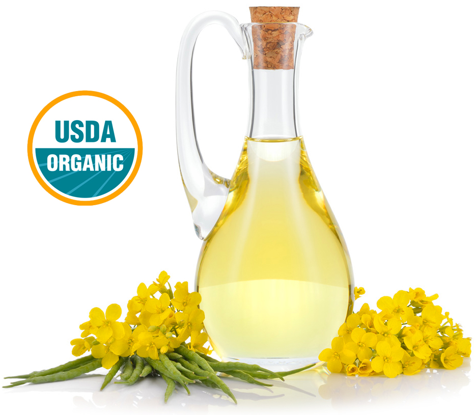 wholesale organic canola oil suppliers in united states